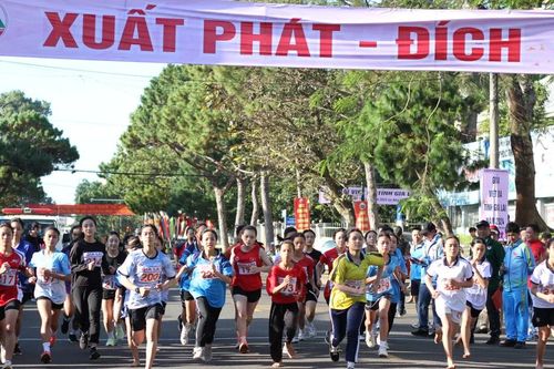 Hơn 200 vận động viên so tài ở Giải Việt dã tỉnh Gia Lai