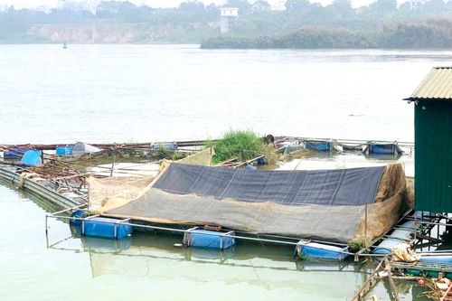 'Lênh đênh' nghề cá lồng