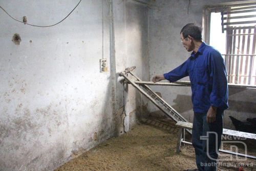 Cải tạo chung cư cũ xuống cấp: Giải pháp nào?