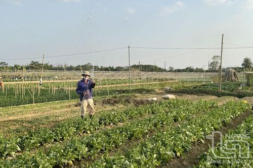 Nỗ lực vượt qua một năm nhiều gian khó