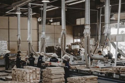 Các yếu tố tác động đến xuất khẩu gỗ năm 2025
