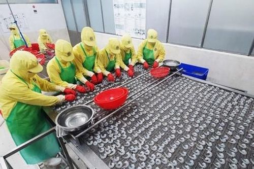 Cà Mau: Thực hiện nhiều giải pháp thúc đẩy phát triển kinh tế bền vững