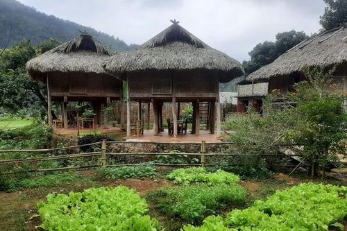 Những tuyến du lịch đi bộ trong rừng nào mới được Thanh Hóa công bố?