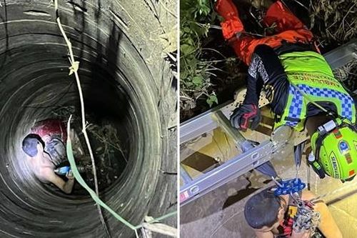 Nghe tiếng kêu lạ trong rừng, dân làng ở Thái Lan tưởng ma, sự thật rất bất ngờ
