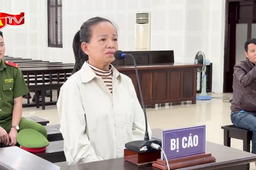 Lừa đảo làm giấy tờ đất, 'nữ quái' lĩnh án hơn 12 năm tù