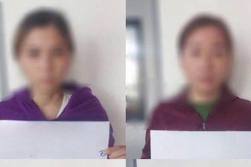TP HCM triệt phá băng nhóm 'cò' cấp đổi giấy phép lái xe