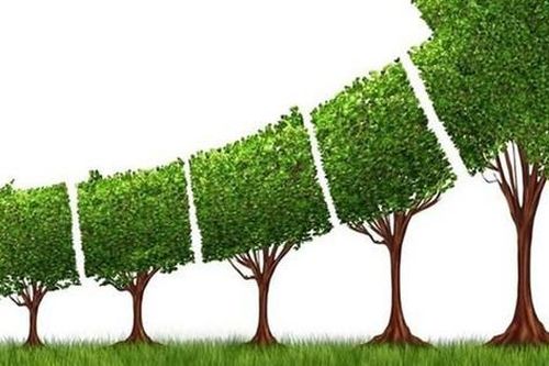 Giải pháp trọng tâm đẩy mạnh tăng trưởng xanh giai đoạn 2021 - 2030, tầm nhìn 2050