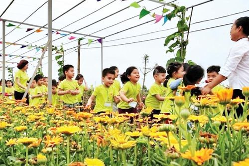 Hỗ trợ sản xuất nông nghiệp xanh