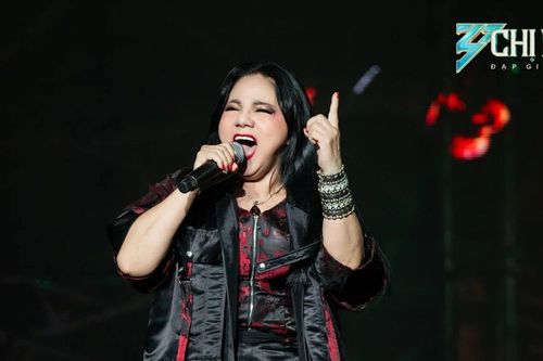 Ca sĩ Ngọc Ánh: Từ 'Nữ hoàng nhạc rock' đến 'Chị đẹp' tuổi 60