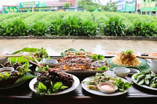 Thái Nguyên sẽ tổ chức Liên hoan Ẩm thực 'Trải nghiệm xứ Trà, đậm đà bản sắc' năm 2024 vào trung tuần tháng 12
