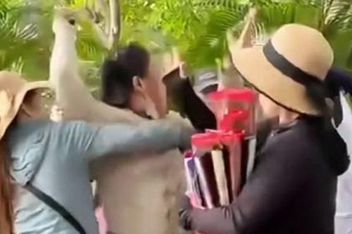 Làm rõ vụ người bán hàng rong hành hung du khách tại Nha Trang