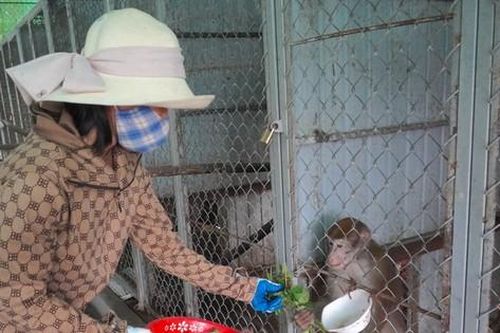 Bảo vệ động vật hoang dã trên dãy Trường Sơn: Thăm nhà tái sinh