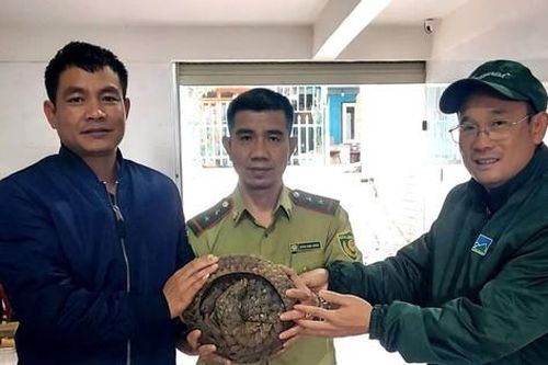 Đi thể dục vào sáng sớm, người dân phát hiện con vật quý hiếm bên lề đường