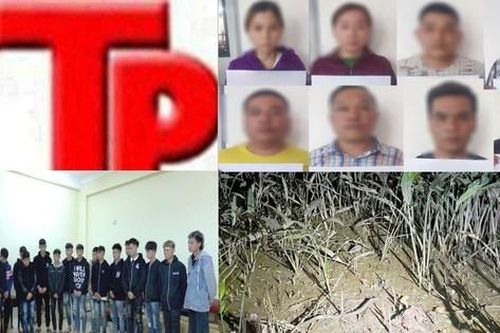 Bản tin Hình sự: Công an truy tìm lái xe ô tô trong vụ tai nạn chết người trên quốc lộ
