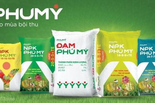PVFCCo chuyển mình mạnh mẽ với bộ nhận diện thương hiệu mới PHUMY