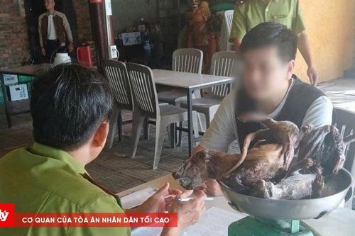 Một nhà hàng ở Huế buôn bán động vật rừng bị bắt quả tang