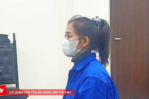 Lừa góp vốn buôn bán hoa quả chiếm đoạt hơn 9 tỷ đồng của nhiều bị hại