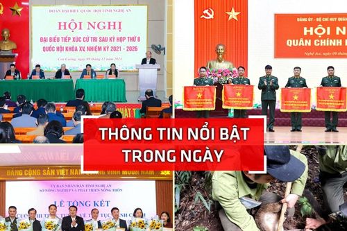 Nghệ An: Thông tin nổi bật 9/12