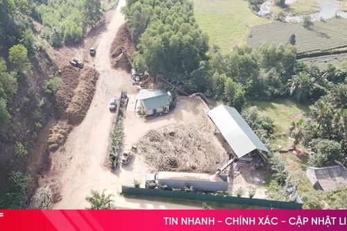 Cơ sở chế biến gỗ băm dăm sai quy định vẫn 'nhởn nhơ'!