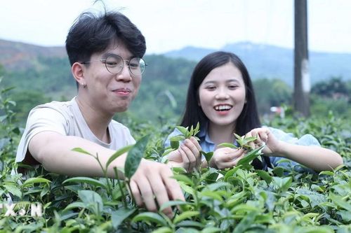 Việt Nam đăng cai Hội nghị quốc tế về du lịch nông thôn: Cơ hội và thách thức
