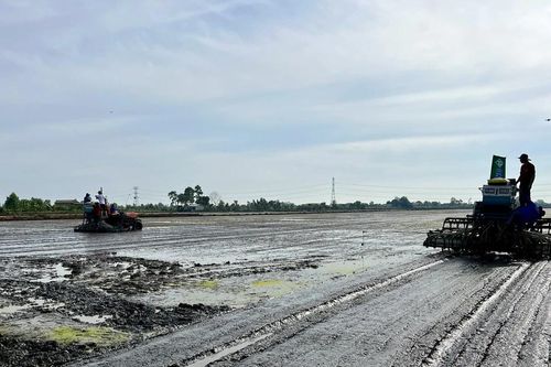 Đẩy mạnh Chiến lược quốc gia về tăng trưởng xanh giai đoạn 2021-2030