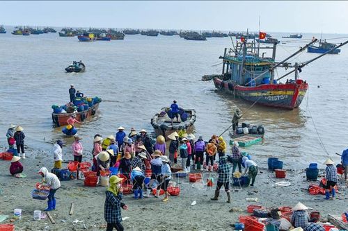 Công nhận 8 xã vùng bãi ngang, ven biển thoát khỏi tình trạng đặc biệt khó khăn