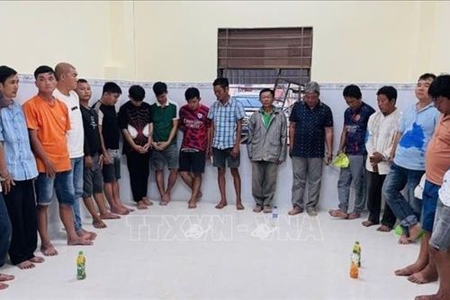 Phối hợp, đấu tranh, triệt phá đường dây vi phạm pháp luật
