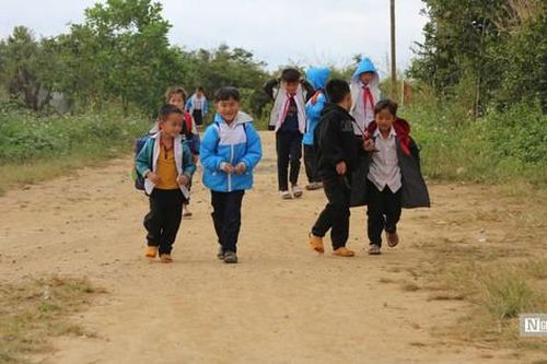 Giang Đông – vùng đất đang hồi sinh: Kỳ cuối: Ươm mầm xanh cho tương lai