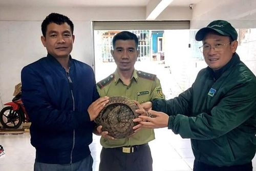 Đi tập thể dục, bất ngờ phát hiện con vật quý hiếm bên lề đường