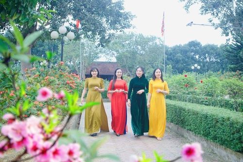 Đón Xuân sớm trên vườn đào Hải Thượng