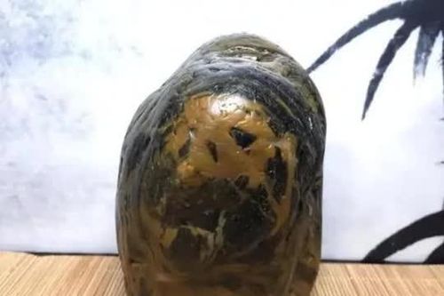 Vô tình nhặt được báu vật trị giá hơn 500 tỉ đồng, người đàn ông quyết không bán vì lý do này