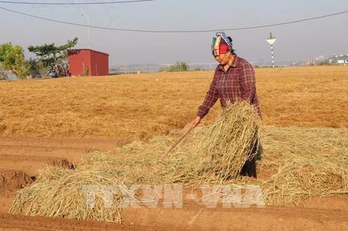 Điều chỉnh, xây dựng nông thôn mới nâng cao phù hợp với thực tế