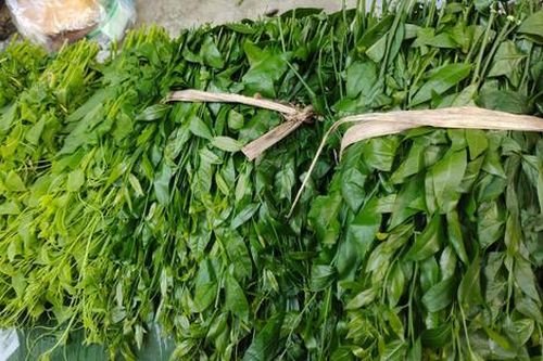 Loại rau xưa mọc dại ít ai biết, giờ thành đặc sản được dân thành phố 'săn lùng', 220.000 đồng/kg