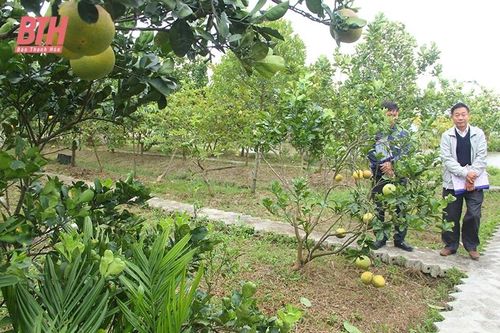 Những vườn mẫu điển hình ven đô