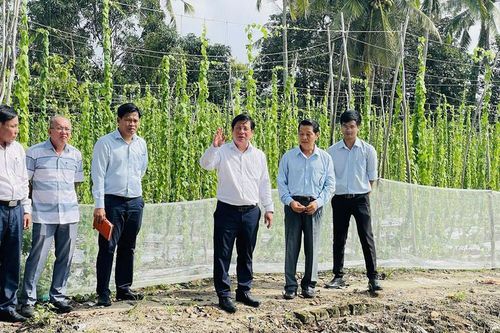 Khẩn trương xây dựng hồ sơ trình UNESCO công nhận Óc Eo – Ba Thê là Di sản văn hóa thế giới