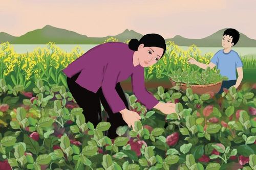 Mùa về trên lưng áo mẹ