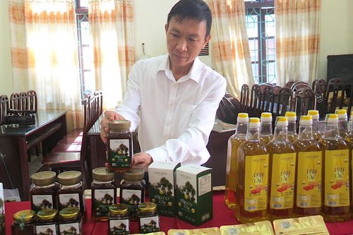 Dầu cọ gai Sông Thao