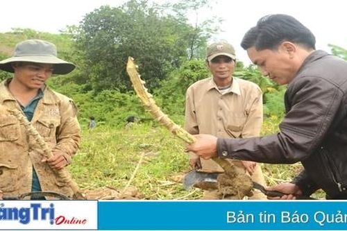Hỗ trợ tiêu thụ nông sản vùng đồng bào dân tộc thiểu số