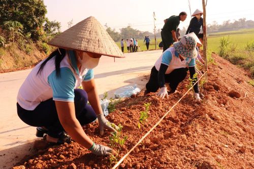 Phú Bình có trên 34.000 hộ đạt tiêu chí ' 5 không 3 sạch'