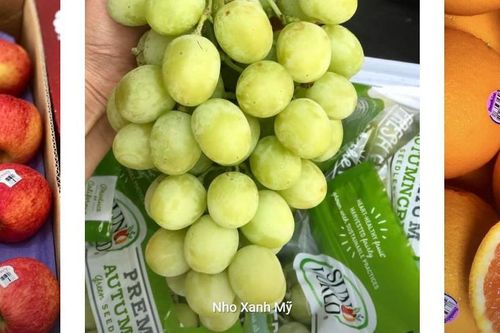 Chợ đầu mối chuyên cung cấp hoa quả tươi ngon từ miền Bắc
