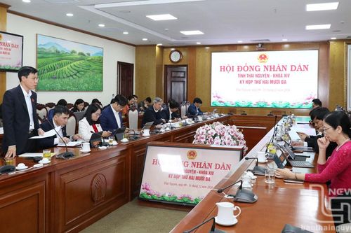 Thảo luận tổ về các báo cáo, tờ trình, dự thảo nghị quyết