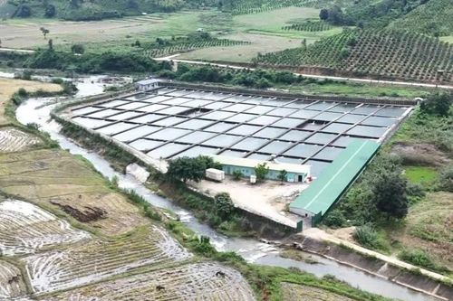 Đắk Lắk: Doanh nghiệp chặn suối nuôi cá tầm 'hứa' khoan giếng cho dân rồi… 'lãng quên'?