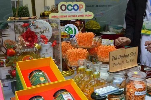 Thái Nguyên, Tuyên Quang giới thiệu nhiều sản vật địa phương tại Liên hoan Ẩm thực quốc tế 2024