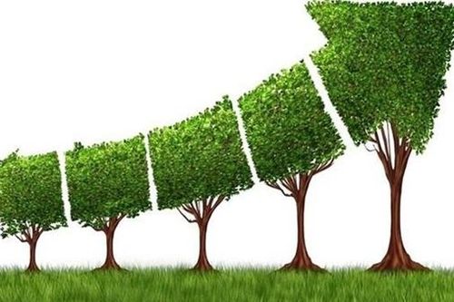 Xây dựng chính sách ưu đãi khuyến khích đầu tư vào các dự án xanh