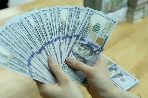 Tỷ giá ngày 9/12: Đồng USD và NDT cùng giảm giá