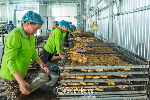 Phát triển sản phẩm OCOP - Cơ hội và thách thứcBài 1: Giậm chân tại chỗ