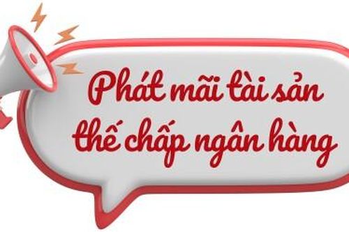 Phát mãi tài sản thế chấp ngân hàng