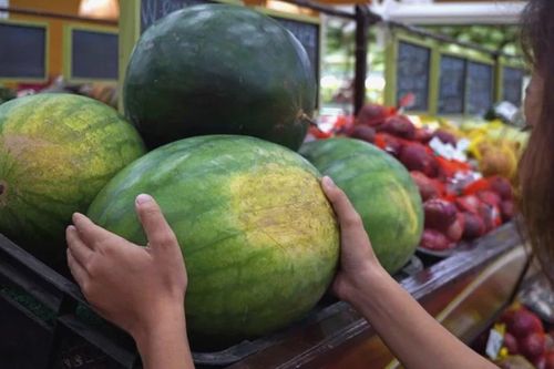 Làm sao nhận biết dưa hấu chín hay chưa?