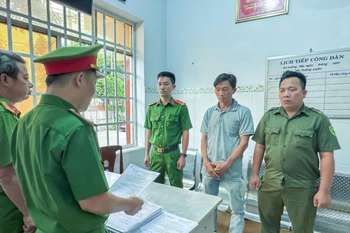 Bắt giam tài xế xe đầu kéo gây tai nạn liên hoàn trên Quốc lộ 51