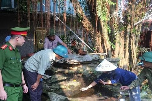 Hà Nội có thêm 608 ca sốt xuất huyết trong một tuần